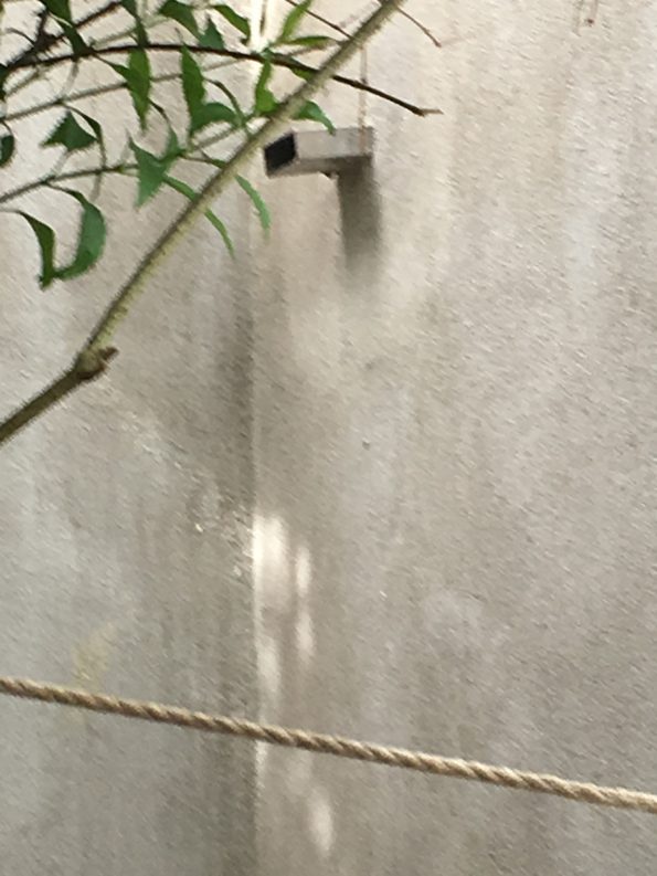 Kann Regenwasser abfliessen? • Whirlpool im Garten