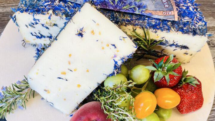 Boxhorn-Kornblumen Käse