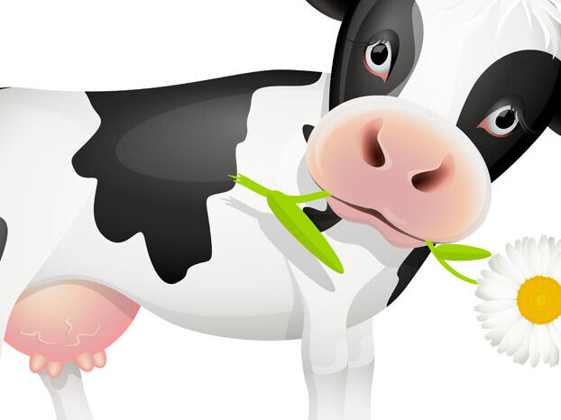 rainer lenk spezialitäten